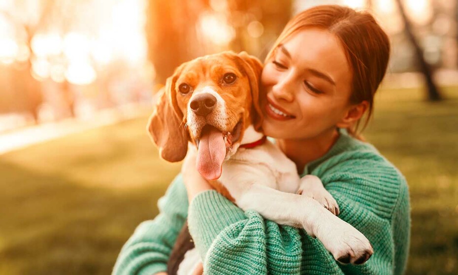 10 Datos sobre mascotas que todo pet lover debe saber