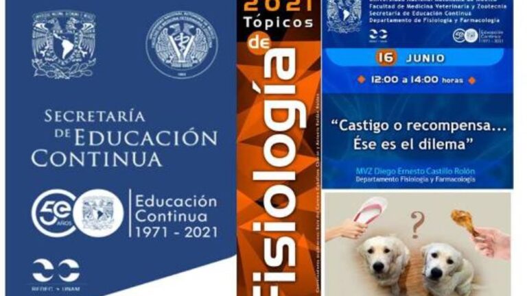 Bienestar Emocional de las Aves en la Veterinaria Rural