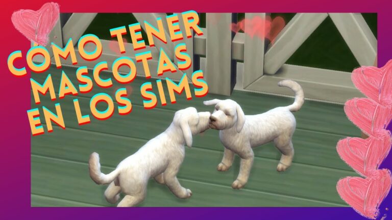 Gu&iacute;a para Adoptar Mascotas y Crear un Espacio de Juego Ideal