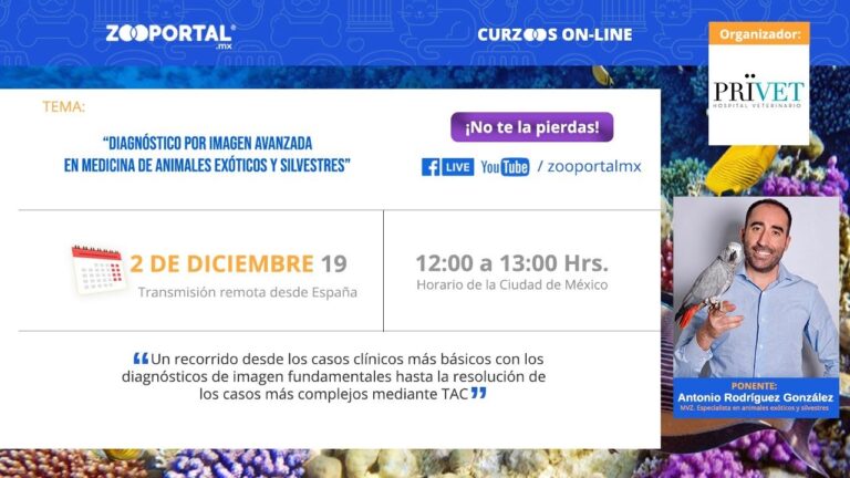 Marco Legal para la Protecci&oacute;n de Animales Ex&oacute;ticos