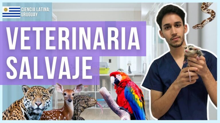 Cuidado Veterinario de Especies Ex&oacute;ticas en Situaciones de Emergencia