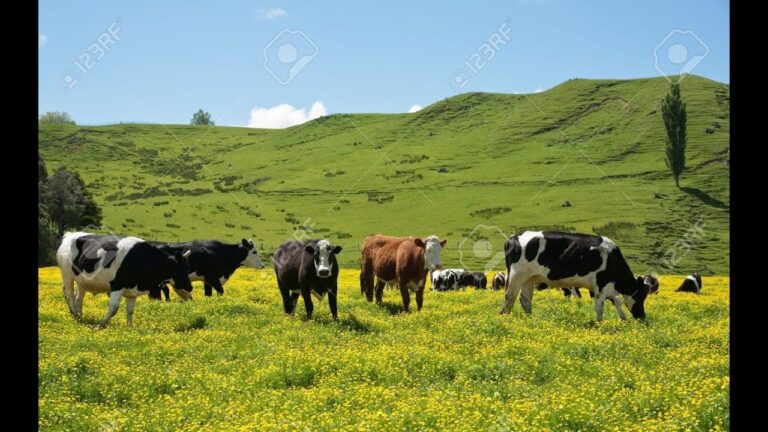 Estrategias Efectivas para Asegurar la Salud en la Reproducción Animal