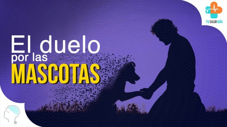 Bienestar emocional tras la pérdida de mascotas