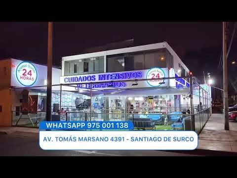 Cuidado de Mascotas Ex&oacute;ticas en Situaciones de Emergencia