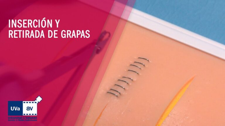 Urgencias Veterinarias: Atenci&oacute;n R&aacute;pida para Mascotas con Dolor Abdominal