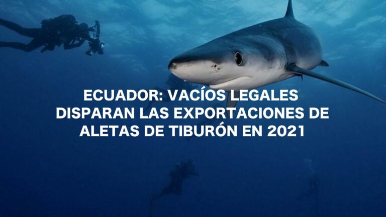 Derechos de los Animales Amenazados por el Tr&aacute;fico Ilegal