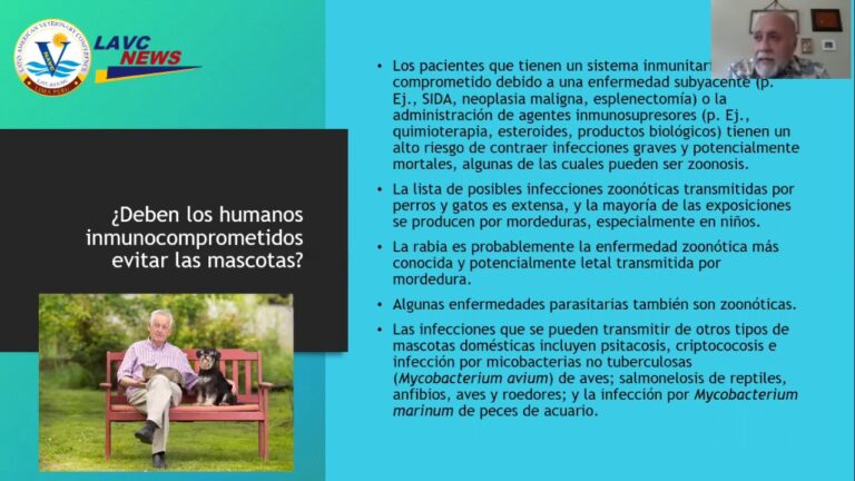 Prevenci&oacute;n de Enfermedades en Reptiles como Mascotas