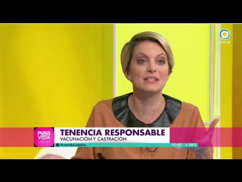 Castraci&oacute;n: Clave para la Prevenci&oacute;n de Enfermedades