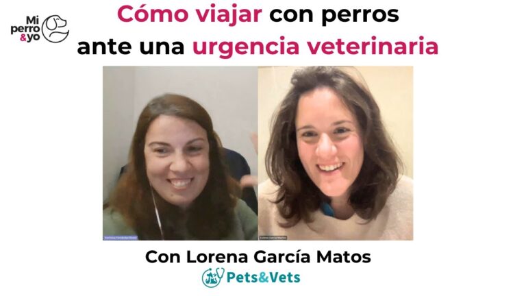Veterinaria: Un Viaje Hist&oacute;rico en la Ciencia Animal