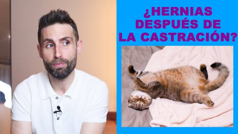 Mejorando la Salud de Mascotas: Experiencia en Cirug&iacute;a de Hernias