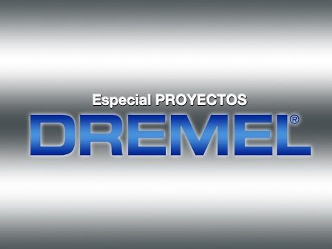 Herramientas Seguras para Cortar U&ntilde;as de Reptiles