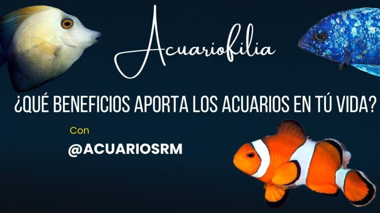 Bienestar Emocional de los Peces en Acuarios