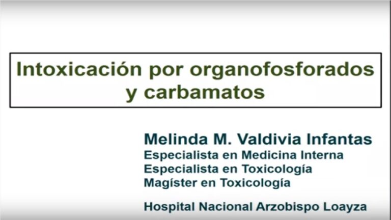 Importancia de la Atenci&oacute;n Veterinaria en Intoxicaciones