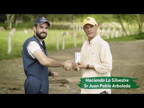 Optimizaci&oacute;n de la Reproducci&oacute;n Ganadera en la Veterinaria Rural