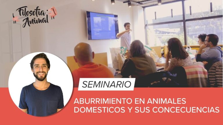 Soluciones Veterinarias para Mejorar la Conducta Animal