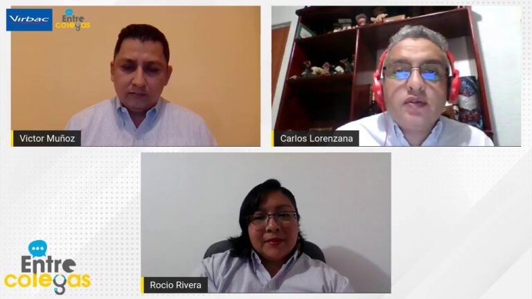 Desparasitaci&oacute;n Preventiva en Perros y Gatos: Clave para su Salud