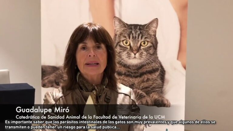 La Crucial Prevenci&oacute;n de Par&aacute;sitos en Veterinaria