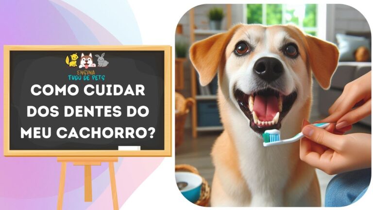 La importancia de la higiene dental en h&aacute;msters