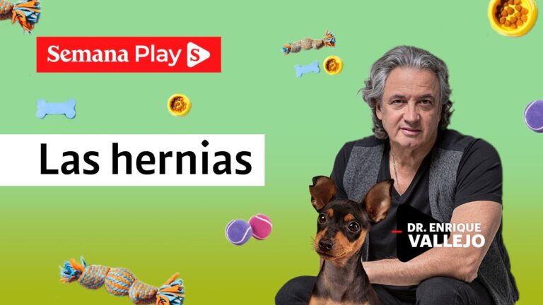 Cirugías Veterinarias Efectivas para Corregir Hernias en Mascotas