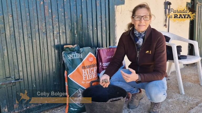 Gu&iacute;a de Dieta Equilibrada para Caballos Seg&uacute;n Veterinarios