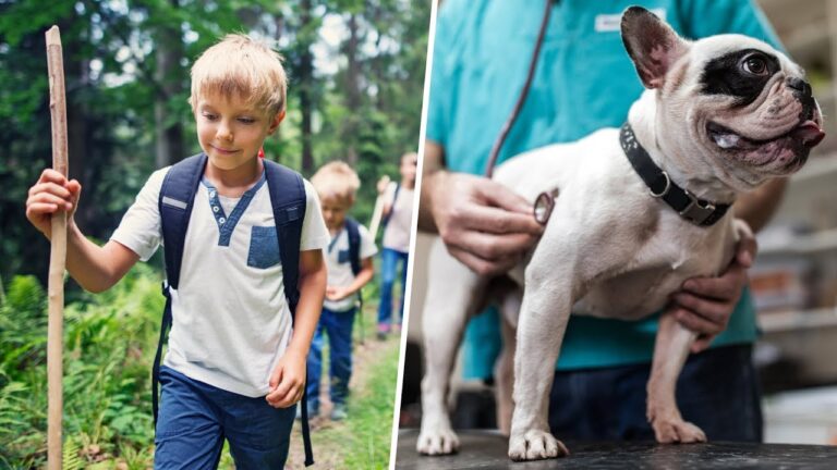 Diagn&oacute;stico Efectivo de la Enfermedad de Lyme en Animales Dom&eacute;sticos