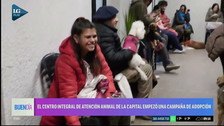 Cuidados Veterinarios Integrales para tu Mascota