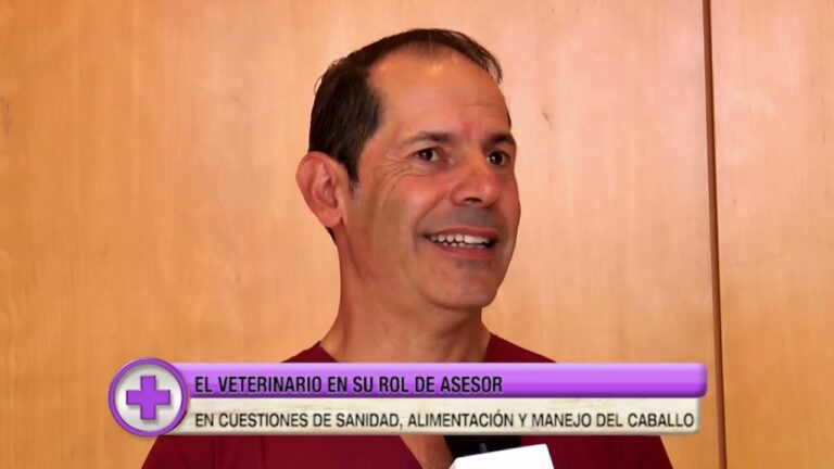 Desparasitaci&oacute;n Equina en Veterinaria Rural: Pr&aacute;cticas Esenciales