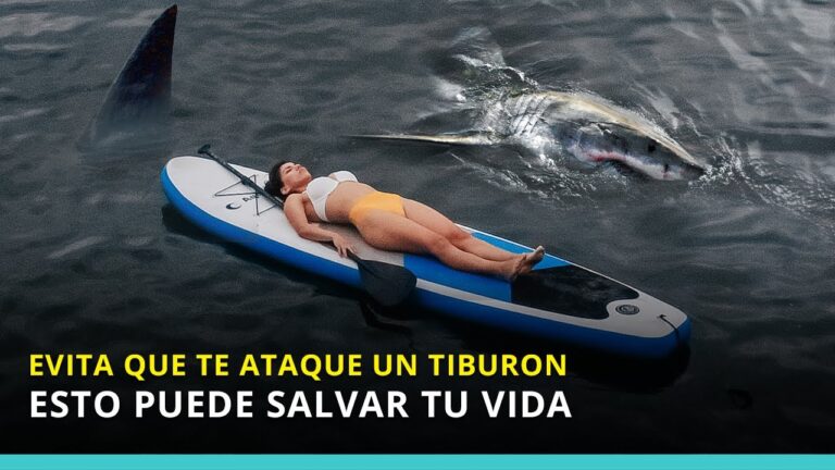 Prevenci&oacute;n de Heridas en Peces para Acuarios Saludables