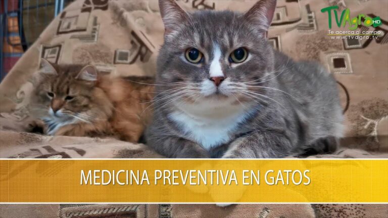 Vacunaci&oacute;n: Clave para la Salud de Animales Ex&oacute;ticos