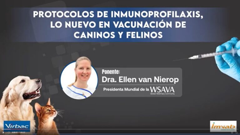 Protocolo Efectivo de Vacunación para Mascotas contra el COVID-19