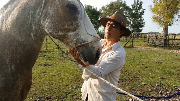 Cuidados Esenciales en la Desparasitaci&oacute;n de Caballos