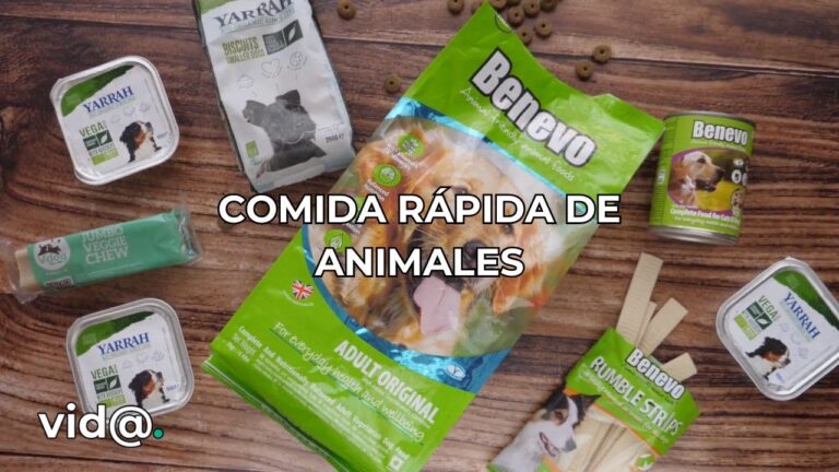 Impacto de las Alergias Alimentarias en la Salud Animal