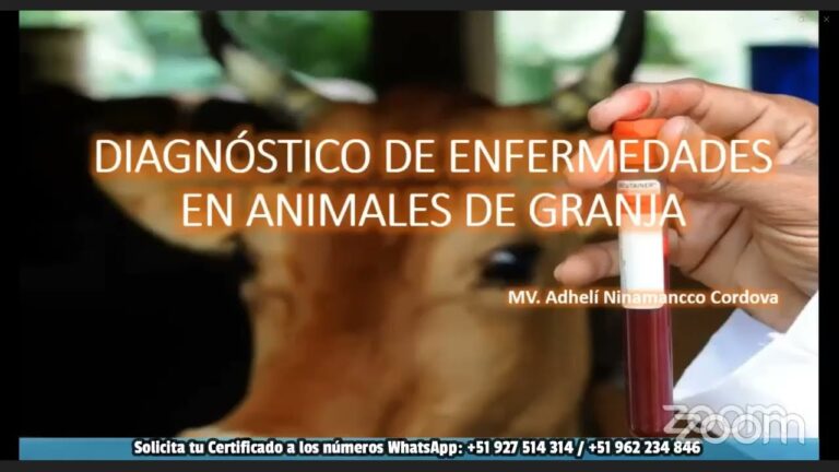 Diagnóstico Temprano de Enfermedades en Animales de Granja