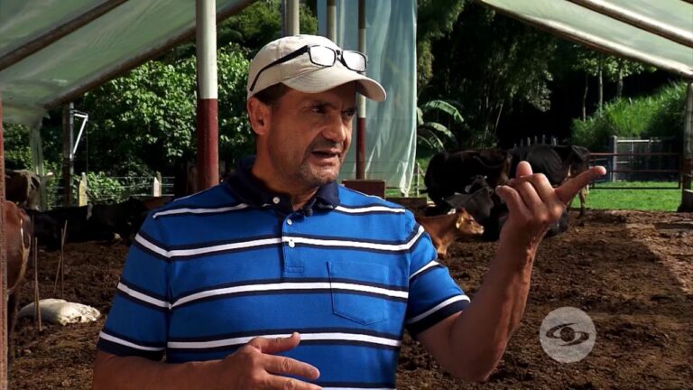 Optimizaci&oacute;n de Espacios en la Cr&iacute;a de Animales