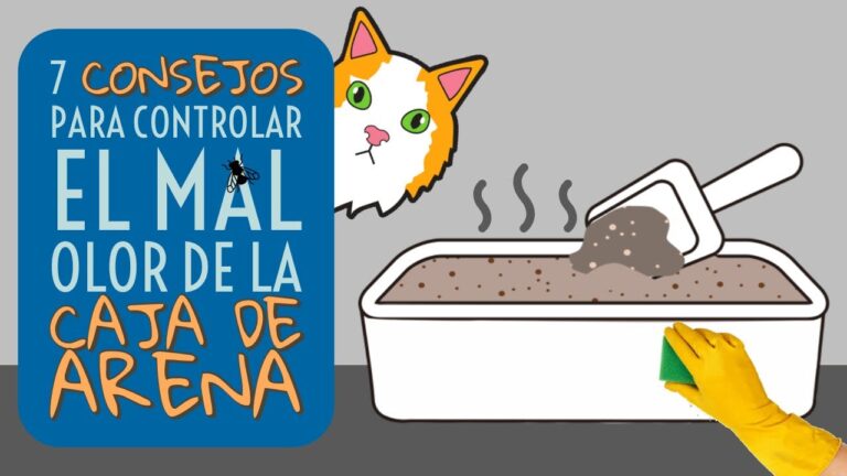Productos Naturales para Eliminar Olores de H&aacute;msters