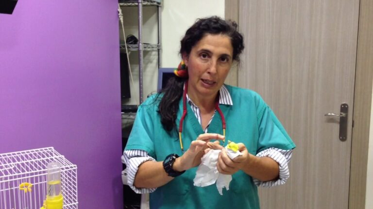 Gu&iacute;a de Consultas Veterinarias para Due&ntilde;os de Animales Ex&oacute;ticos