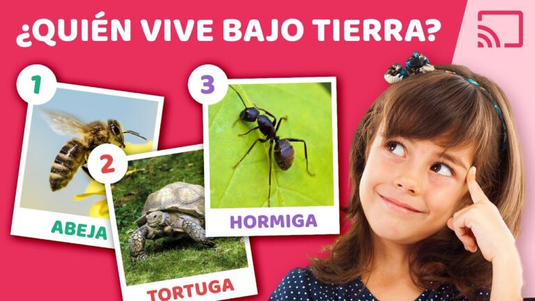 Historias Fascinantes de Animales Acu&aacute;ticos en Veterinaria