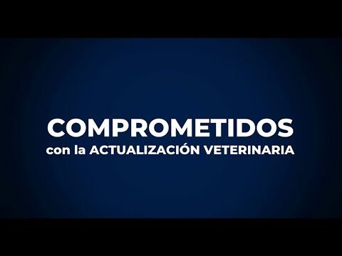 Enfoque Veterinario en Comportamiento Animal y Manejo del Dolor