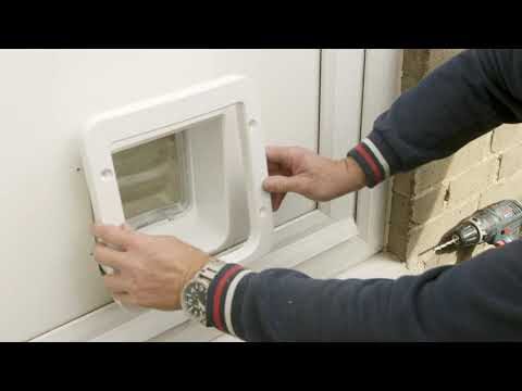 Seguridad de Mascotas a Trav&eacute;s del Microchip Identificador