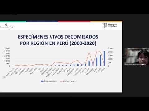 Legislación Internacional Contra el Tráfico Ilegal de Animales