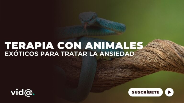 Abordaje Psicol&oacute;gico del Estr&eacute;s en Animales Ex&oacute;ticos
