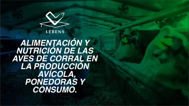 Claves para el Bienestar de las Aves y su Alimentaci&oacute;n Adecuada