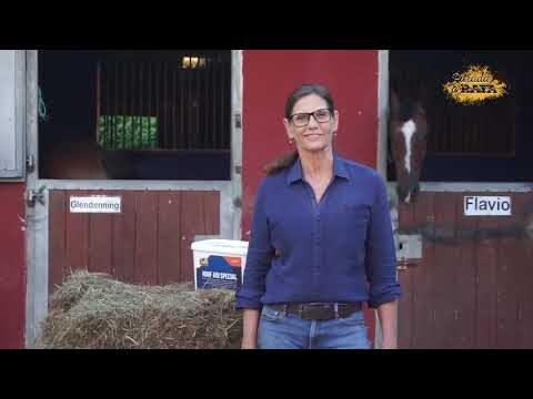 Desparasitaci&oacute;n: Clave en el Cuidado Equino