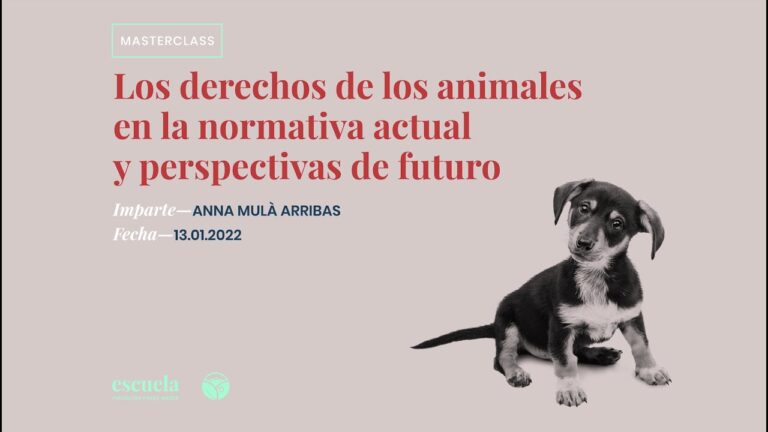 Protecci&oacute;n Legal de Animales en Zool&oacute;gicos: Desaf&iacute;os y Avances