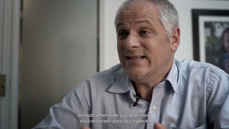 Control Efectivo de Par&aacute;sitos en Reptiles Dom&eacute;sticos