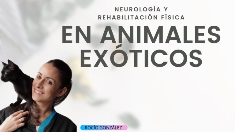 Rehabilitaci&oacute;n Veterinaria de Animales Ex&oacute;ticos: Enfoques y Estrategias