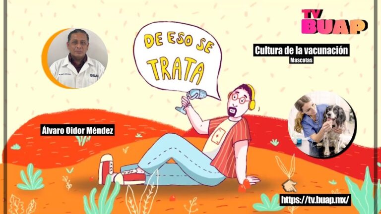 Cuidados Preventivos en la Vacunaci&oacute;n de Mascotas