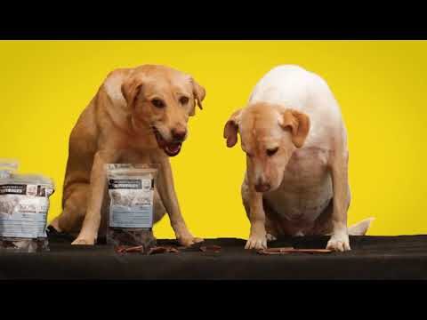 Snacks Naturales para el Bienestar de tu Mascota
