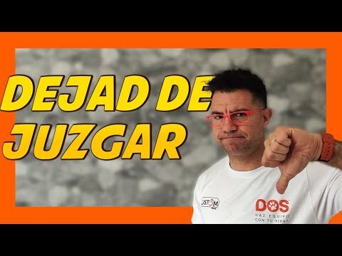 M&eacute;todos Efectivos de Adiestramiento Positivo para Mascotas