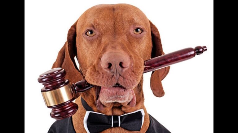 Fomentando la Educaci&oacute;n en Derechos de los Animales